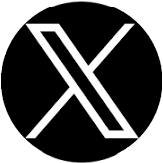 X Icon